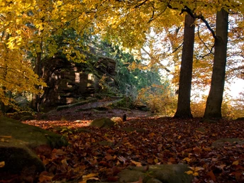Kälbersteine im Herbst