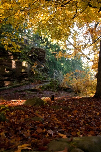 Kälbersteine im Herbst