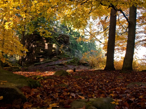 Kälbersteine im Herbst