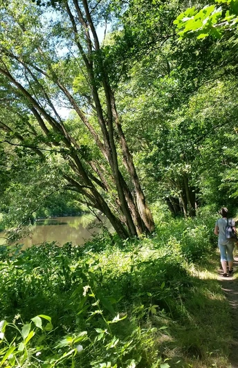 Zschopautalweg im Sommer