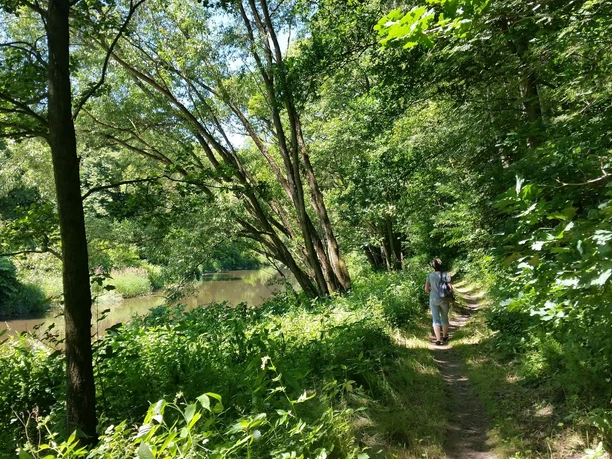 Zschopautalweg im Sommer