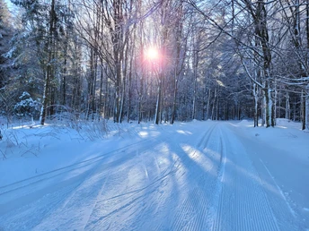 Loipeneinstieg Grünbach
