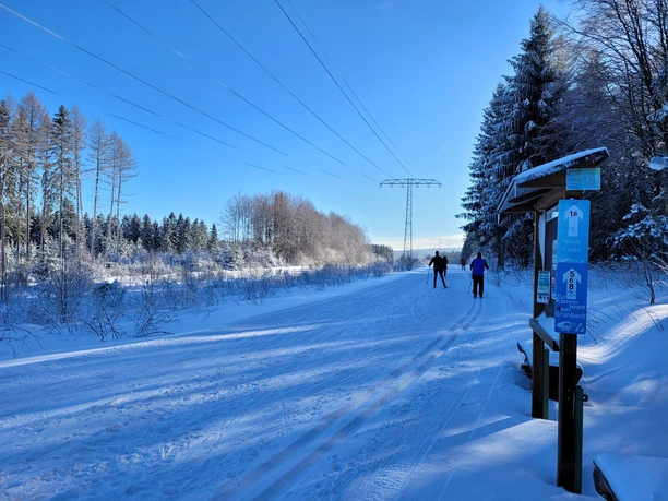 (Nacht) Loipe Grünbach