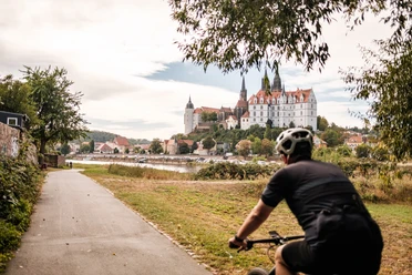 Auf dem Elberadweg in Meißen - Blick auf die Albrechtsburg