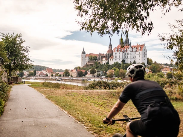 Auf dem Elberadweg in Meißen - Blick auf die Albrechtsburg