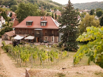 Weingut Mariaberg Meißen