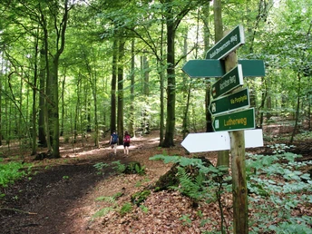 Wanderer am Rochlitzer Berg