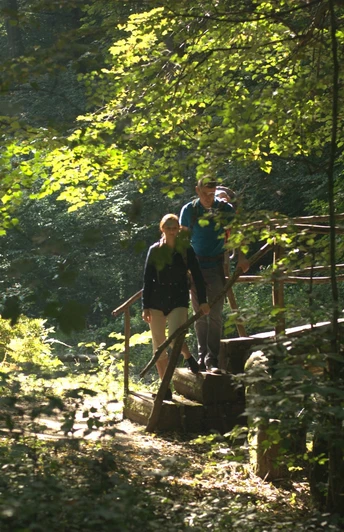 Brücke in der Skala