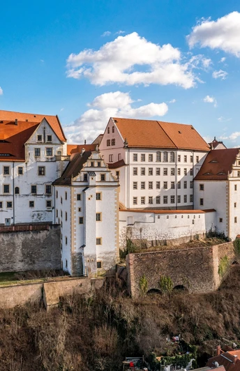 Schloss Colditz Luftbild