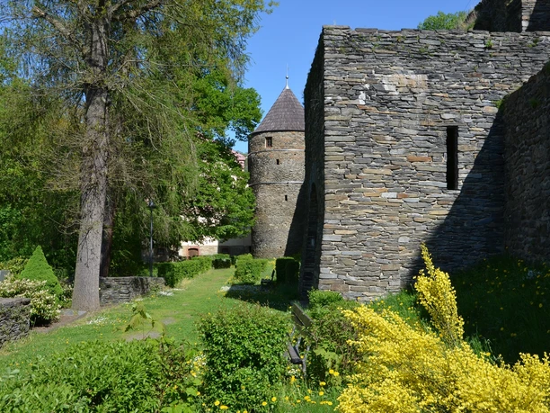 Burgruine Elsterberg