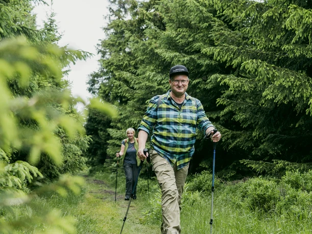 In den Wäldern des Erzgebirges
