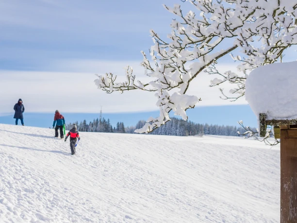 Rodelhang am Abenteuerspielplatz Breitenbrunn