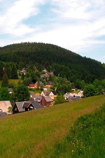 Wildenthal (Ortsteil von Eibenstock); im Hintergrund der Ellbogen (899 m)