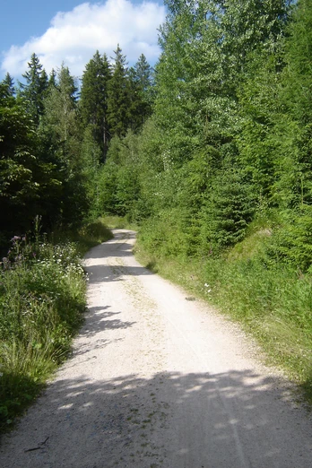 Wanderweg rund um den Gerstenberg