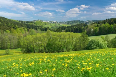 Schöneck Panorama
