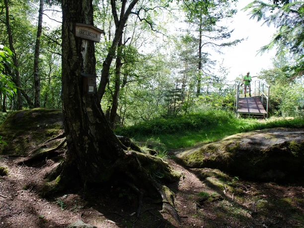 Hartenstein