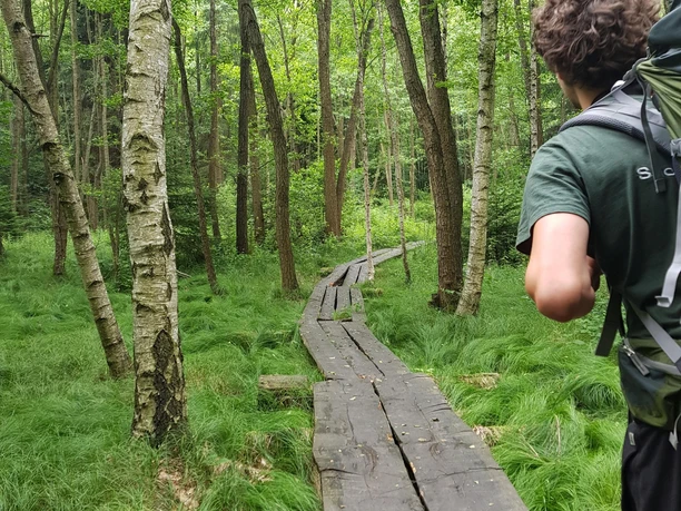 Bohlenweg im Bielatal