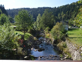 Die Schwarze Pockau im Hinteren Grund
