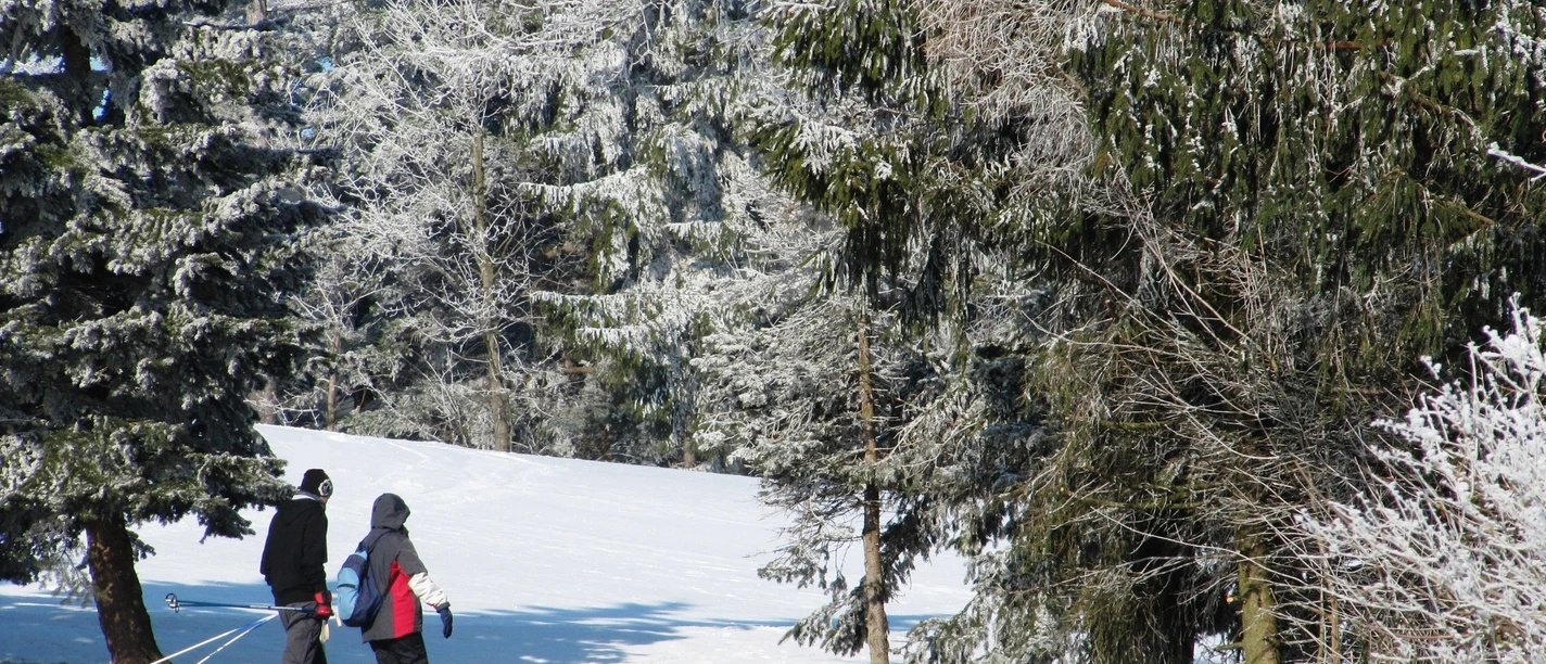 Winterwanderung in Rechenberg-Bienenmühle