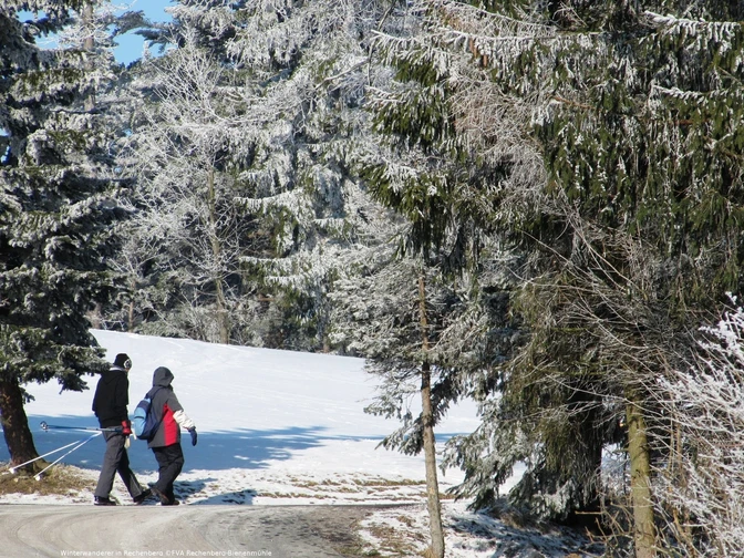 Winterwanderung in Rechenberg-Bienenmühle