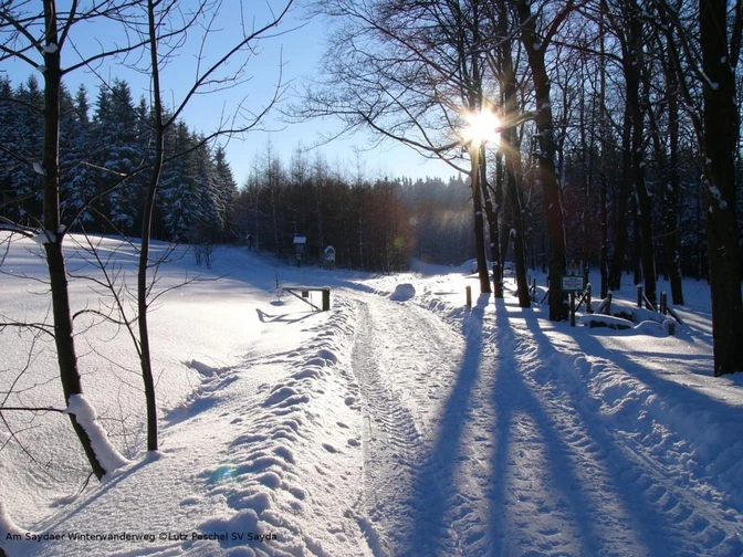 Am Saydaer Winterwanderweg