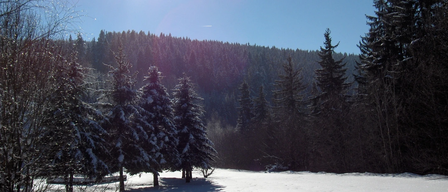 Winterlandschaft im Erzgebirge