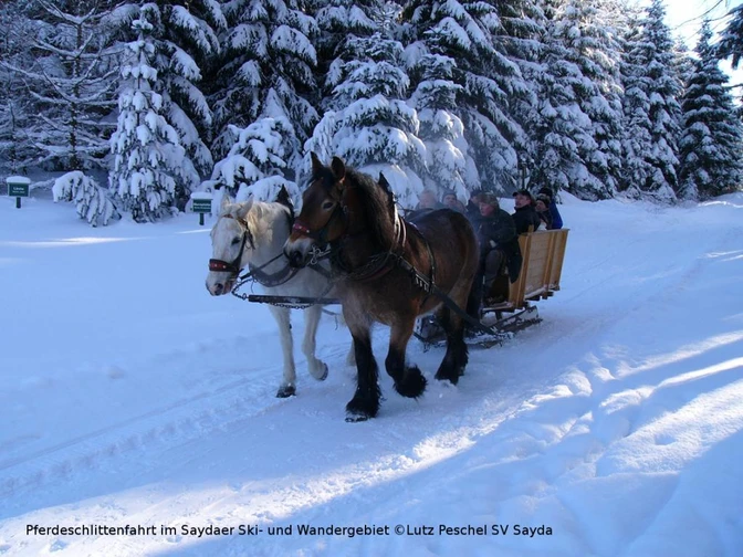 Mit dem Pferdeschlitten unterwegs im Saydaer Ski- und Wandergebiet