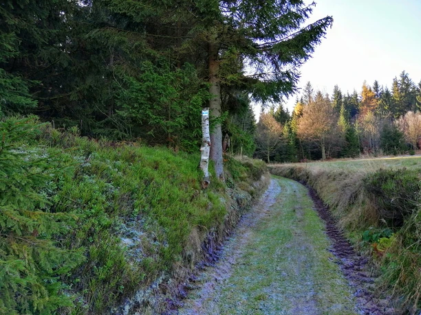 Kreuzweg in Neu-Rehefeld - Wandern