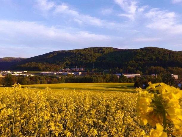 Blick ins Flöhatal (Olbernhau)