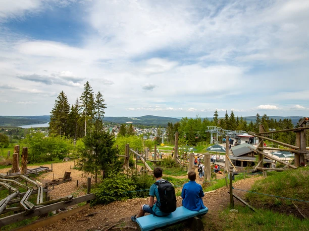 Murmelwald Wurzelrudis Erlebniswelt