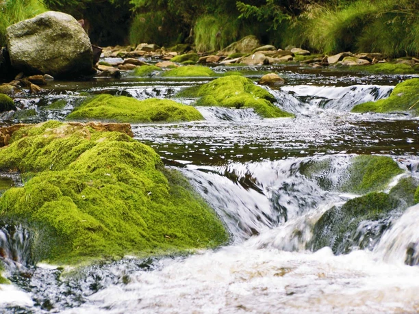 im Tal der Schwarzen Pockau