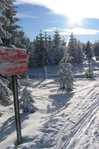 Skimagistrale (Satzung)