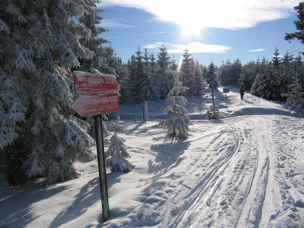 Skimagistrale (Satzung)