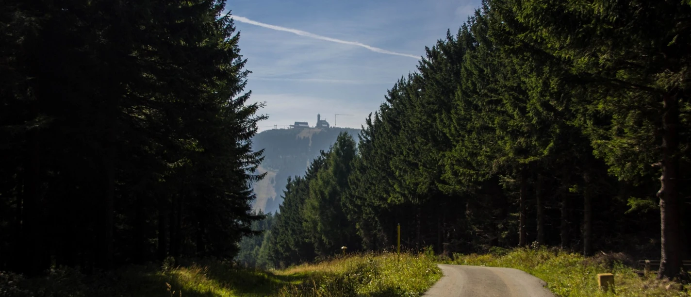 Stümpelweg mit Blick Richtung Fichtelberg