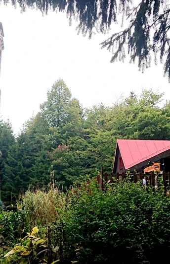 Titelbild - der Tanzplan