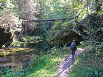 Im grenznahen Gebiet von Hinterhermsdorf