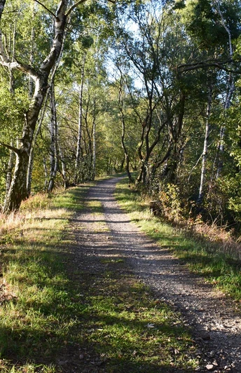Auf dem alten Damm der ehem. Kleinbahn (Auerbacher Rundwanderweg)