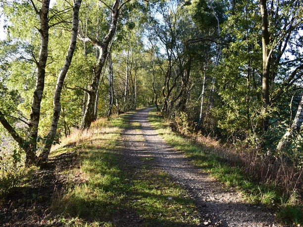 Auf dem alten Damm der ehem. Kleinbahn (Auerbacher Rundwanderweg)