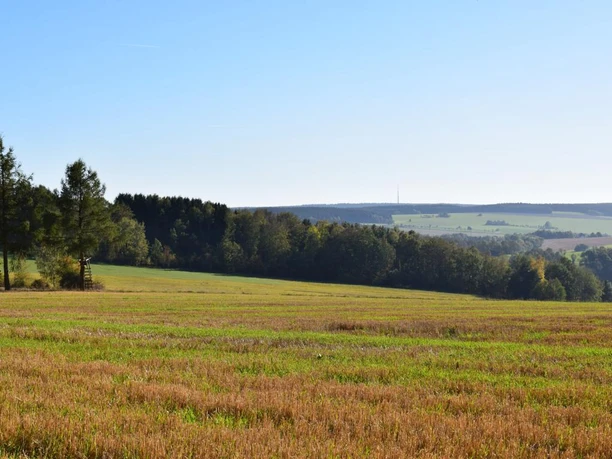 Ausblick vom Auerbacher Rundweg