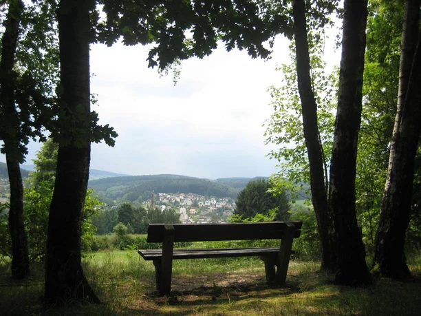 Ausblick vom Gornsdorfer Rundwanderweg