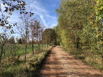 Eisenweg an der Tabakstanne in Thalheim