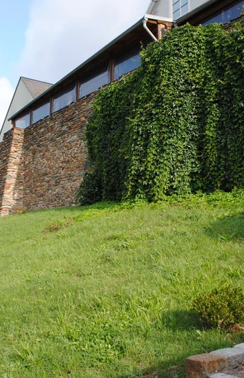 Reichenbach im Vogtland - Stadtmauer