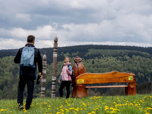 Aussicht oberhalb von Holzhau