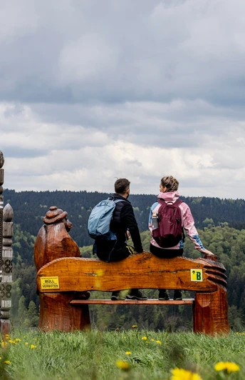 Aussicht auf Holzhau