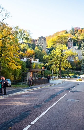 Blick auf die Burgruine in Tharandt