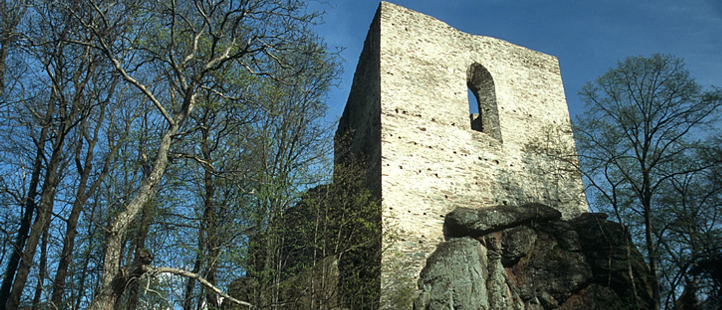 Burgsteinruine