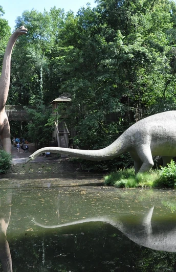 Brachio und Diplodocus - Giganten im Saurierpark