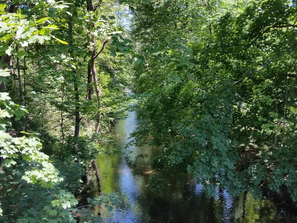 Im Flöhatal bei Hirschberg