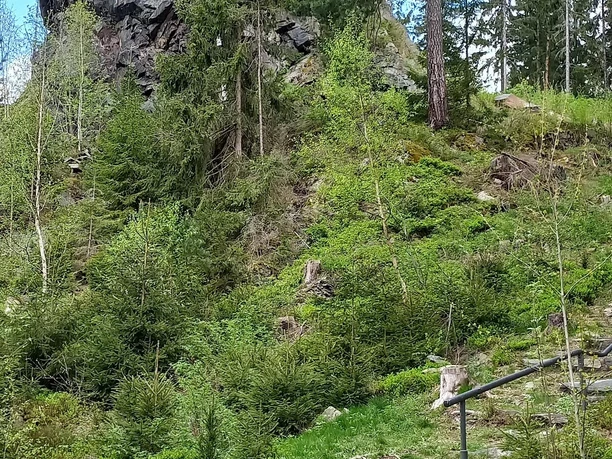 Röthelstein bei Beerheide