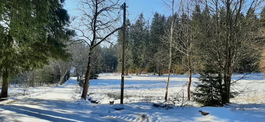 An der Quelle Bad Reiboldsgrün im Winter